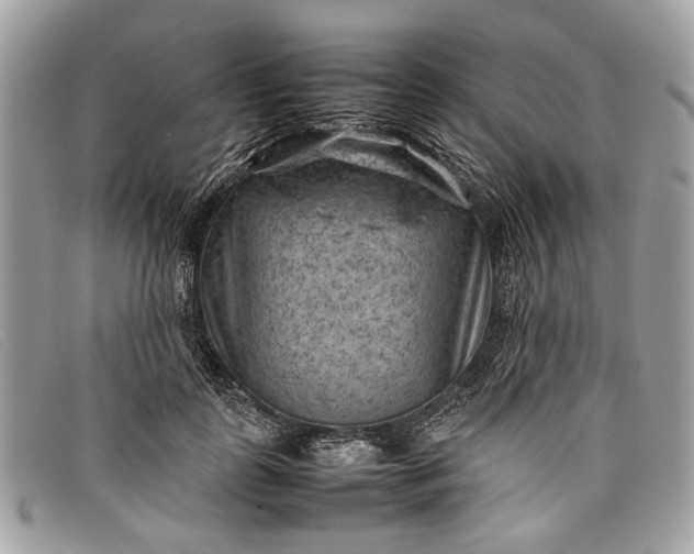 X0000098020747200804111257