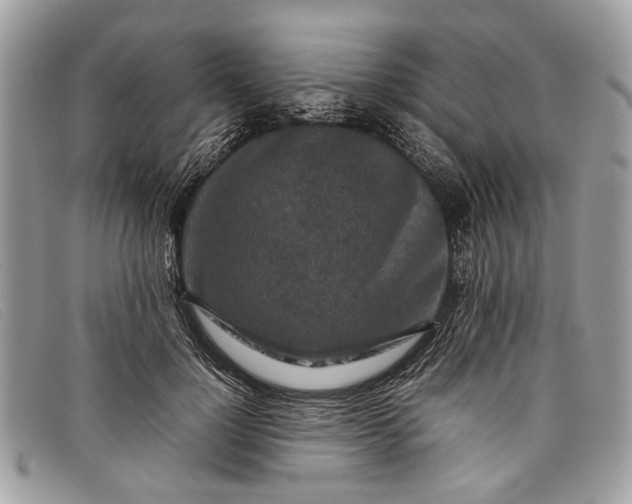 X0000098020748200804111257