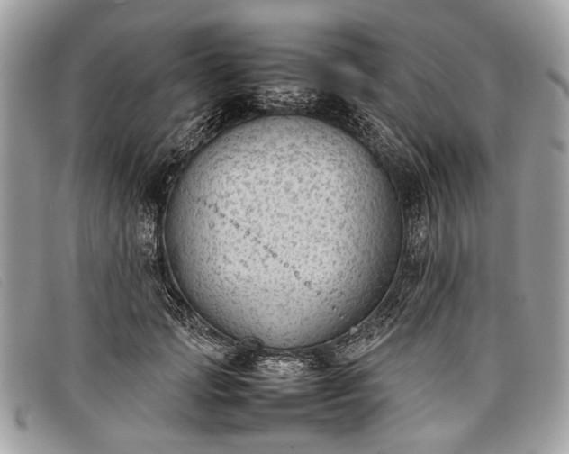 X0000098020749200804111257