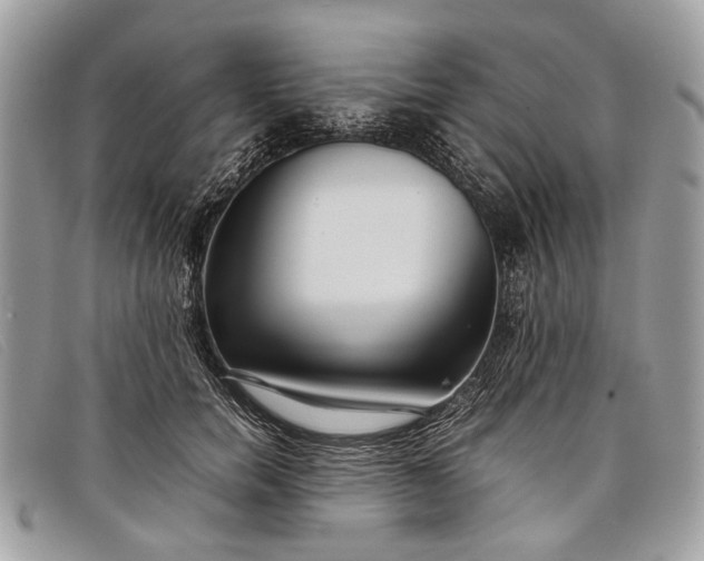 X0000098020750200804111258