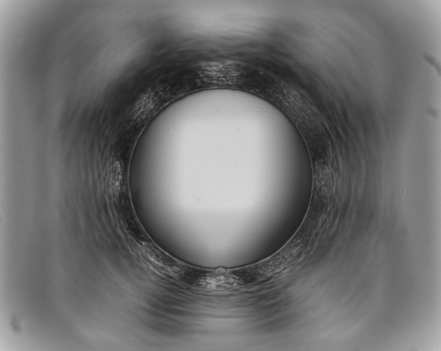 X0000098020752200804111258