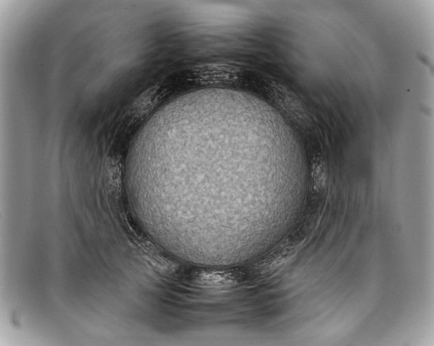 X0000098020753200804111258