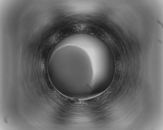 X0000098020754200804111258