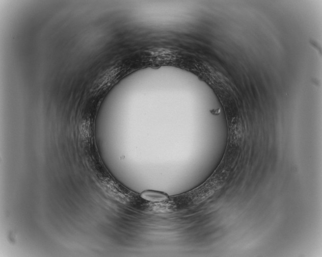 X0000098020756200804111258