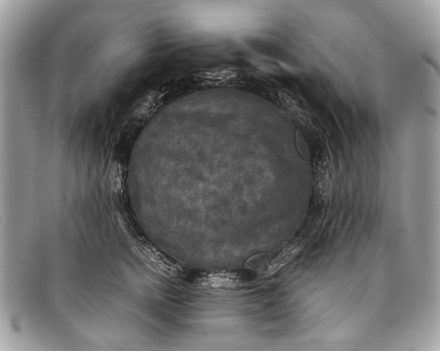 X0000098020758200804111258