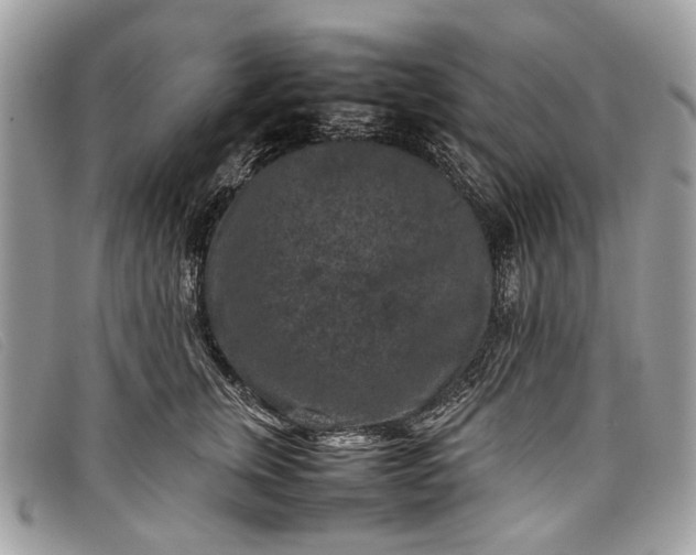 X0000098020759200804111258