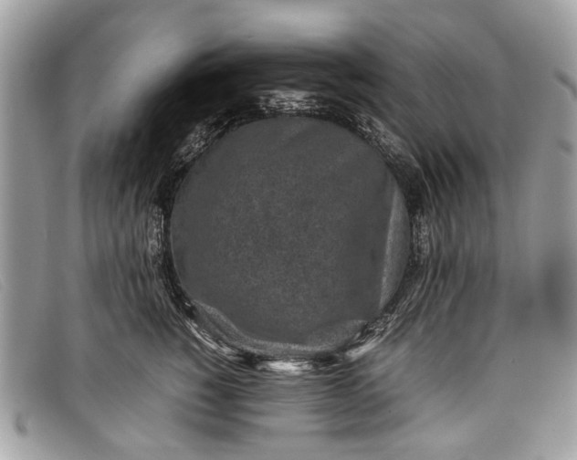 X0000098020760200804111258