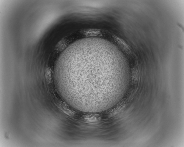 X0000098020761200804111258