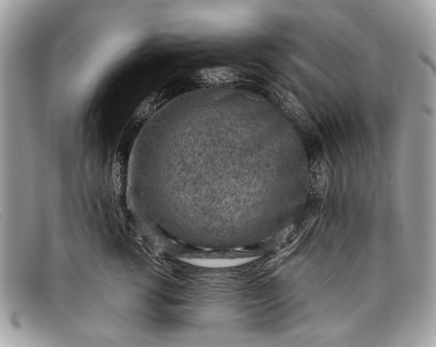 X0000098020762200804111258