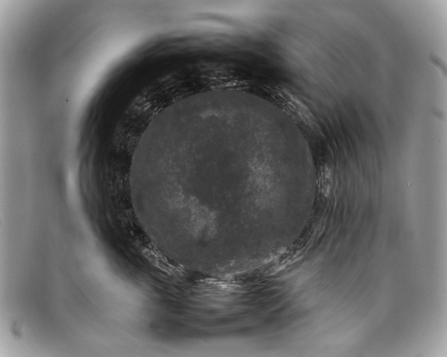 X0000098020763200804111258