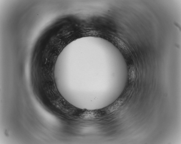 X0000098020764200804111258