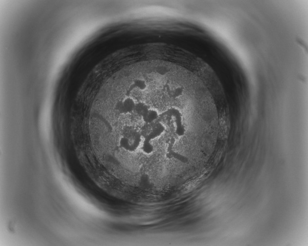 X0000098020765200804111258