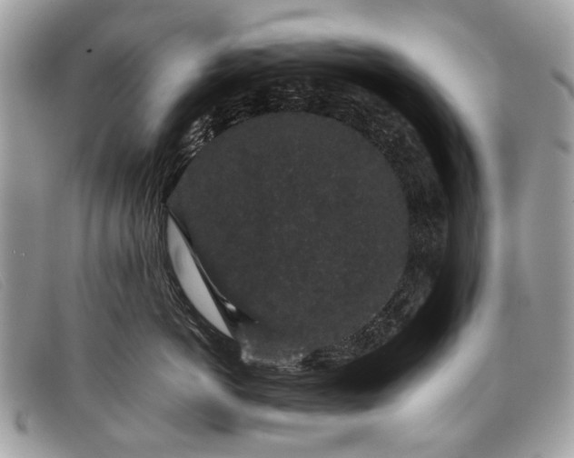 X0000098020766200804111258