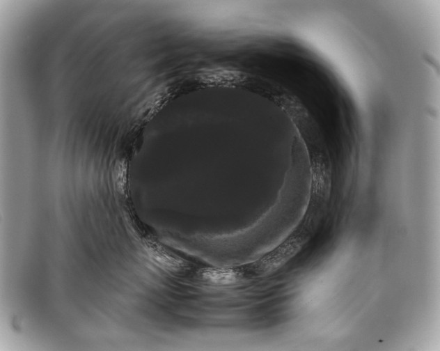 X0000098020767200804111258