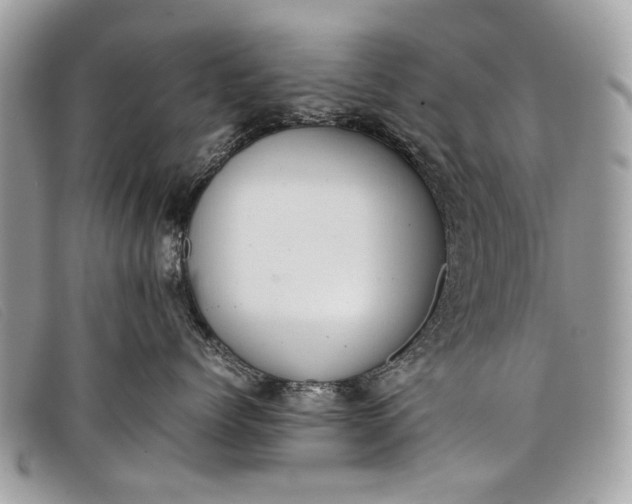 X0000098020768200804111258