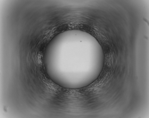 X0000098020770200804111257