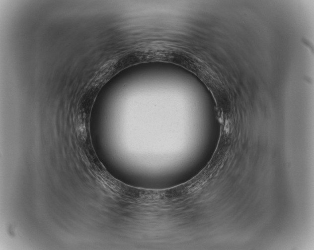 X0000098020771200804111257