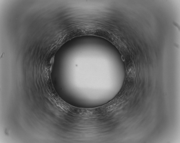 X0000098020772200804111257