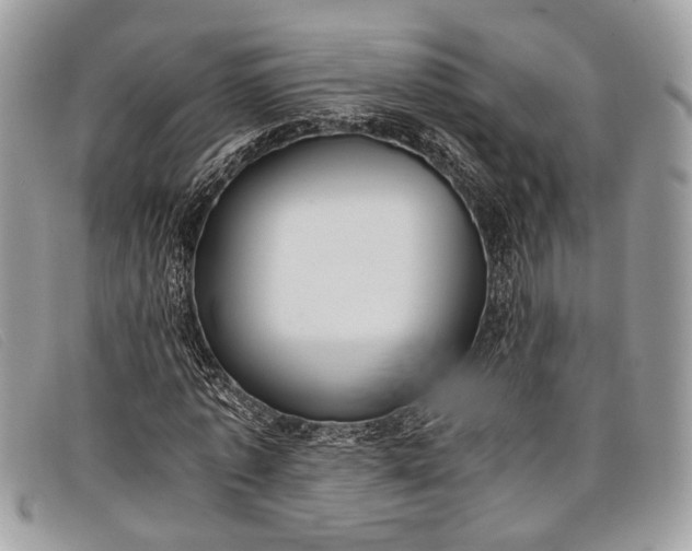 X0000098020773200804111257