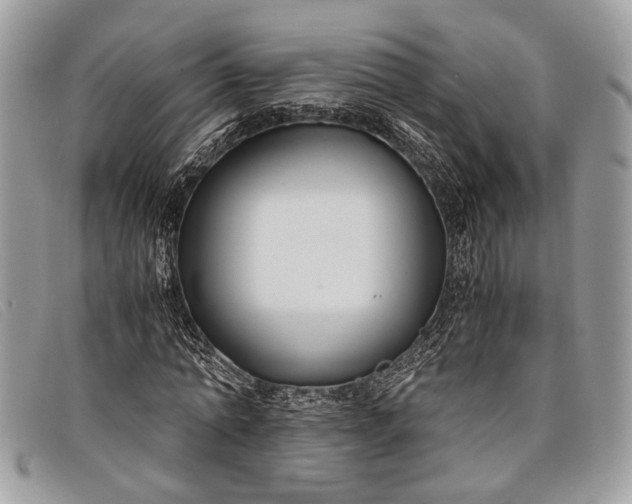 X0000098020774200804111257