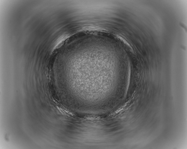 X0000098020775200804111257