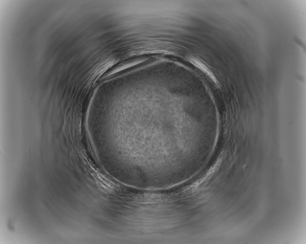 X0000098020777200804111257