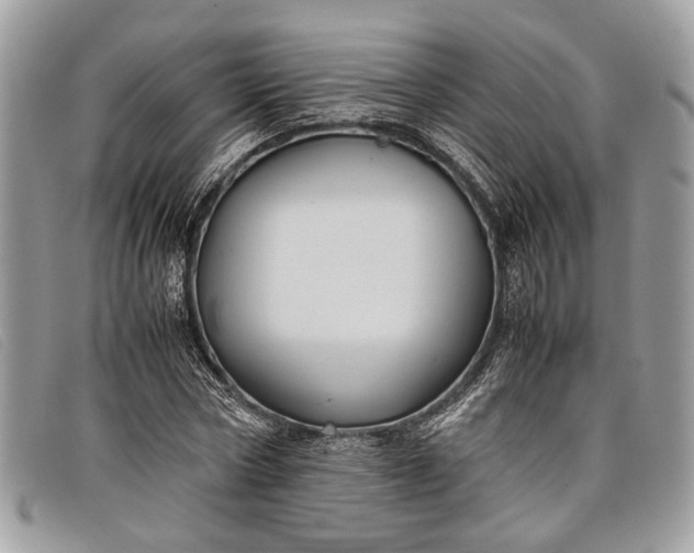 X0000098020778200804111257