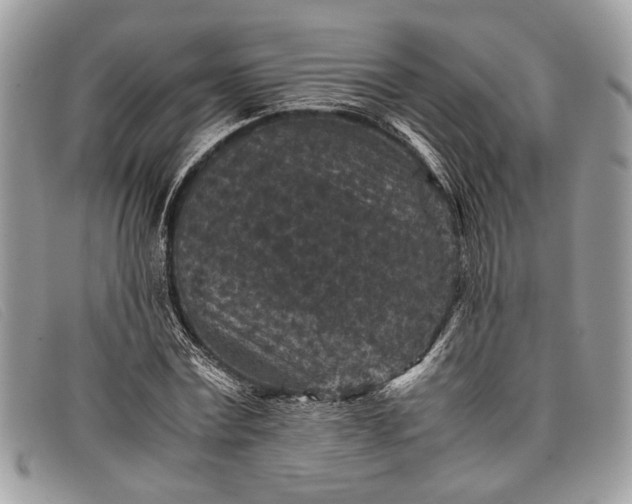 X0000098020779200804111257