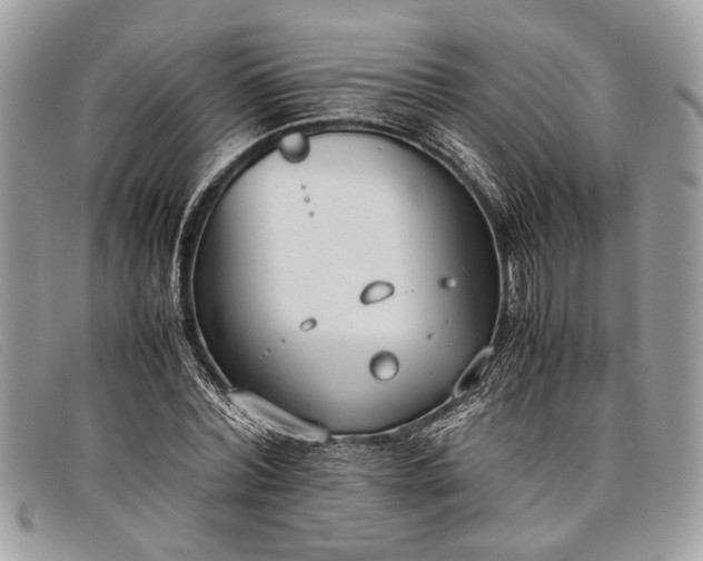 X0000098020780200804111257