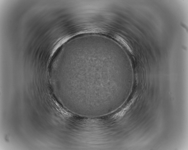 X0000098020781200804111257