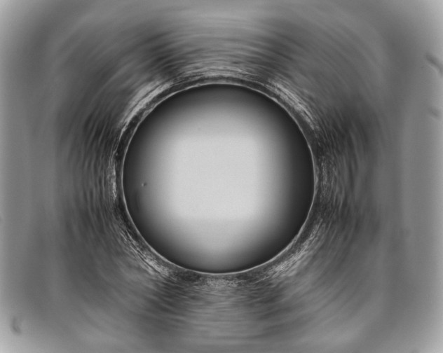 X0000098020782200804111257