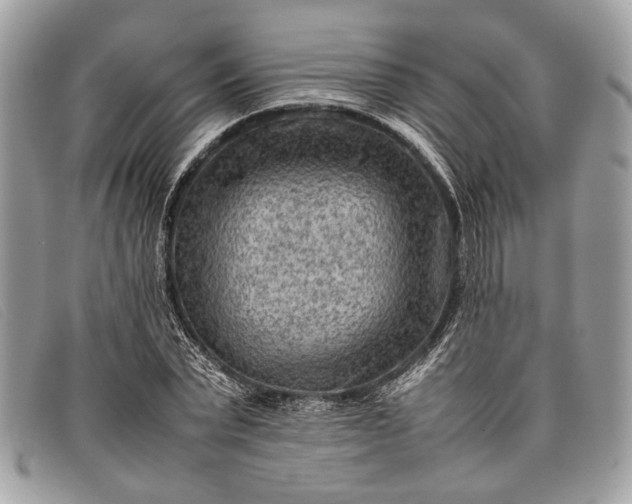 X0000098020783200804111257