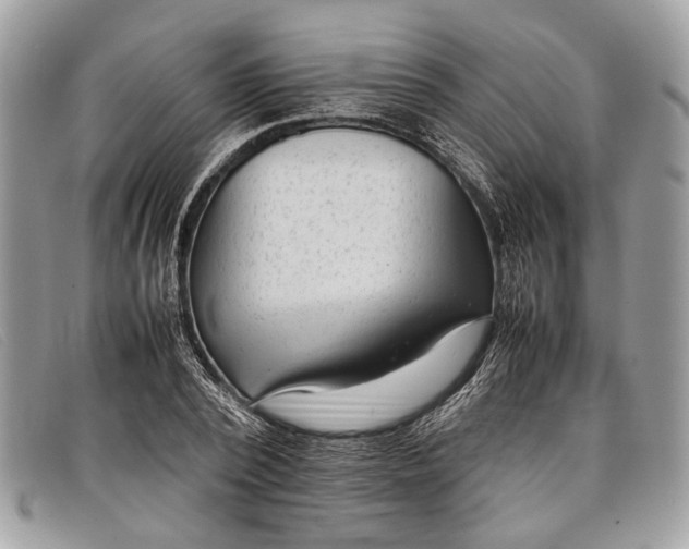 X0000098020784200804111257