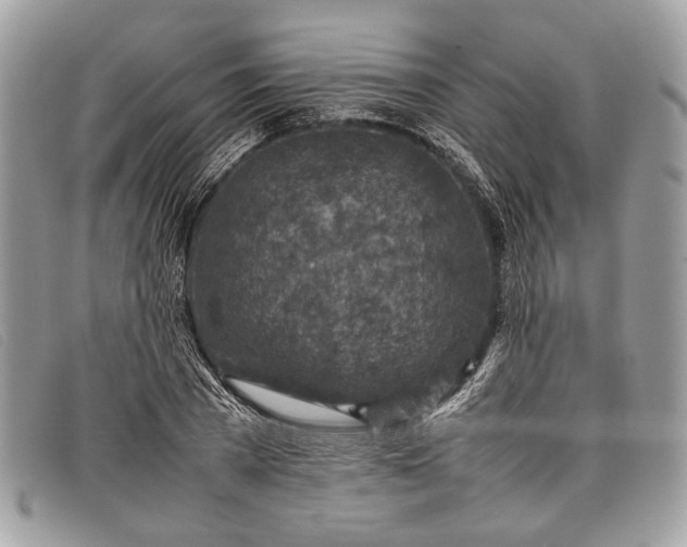 X0000098020785200804111257