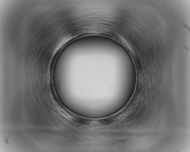 X0000098020787200804111257