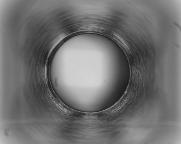 X0000098020788200804111257