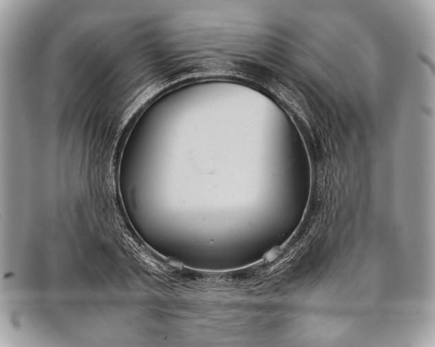 X0000098020789200804111257