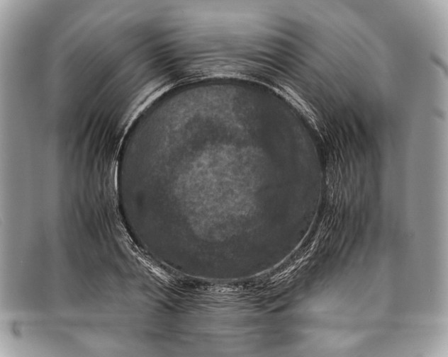 X0000098020790200804111257