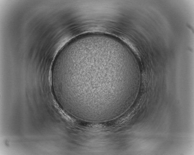 X0000098020791200804111257