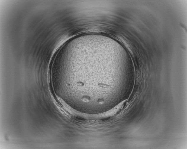 X0000098020795200804111257