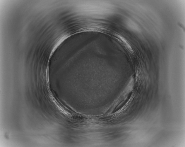 X0000098020796200804111257