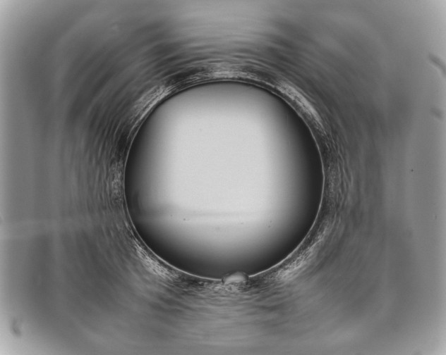 X0000098020801200804111256