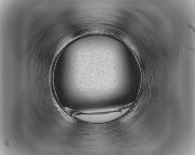 X0000098020803200804111256