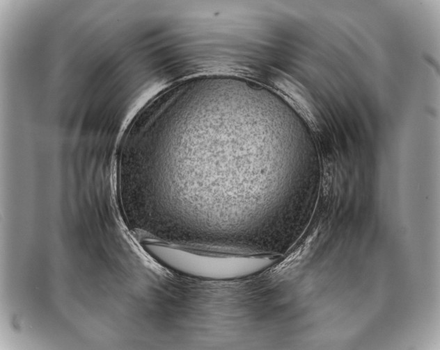 X0000098020804200804111256