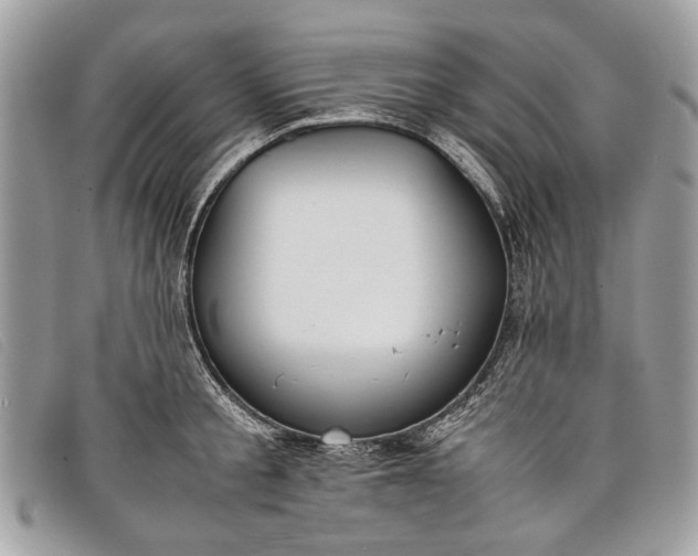 X0000098020805200804111256