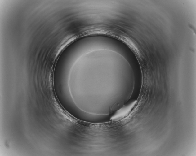 X0000098020806200804111256