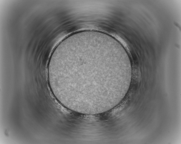 X0000098020807200804111256