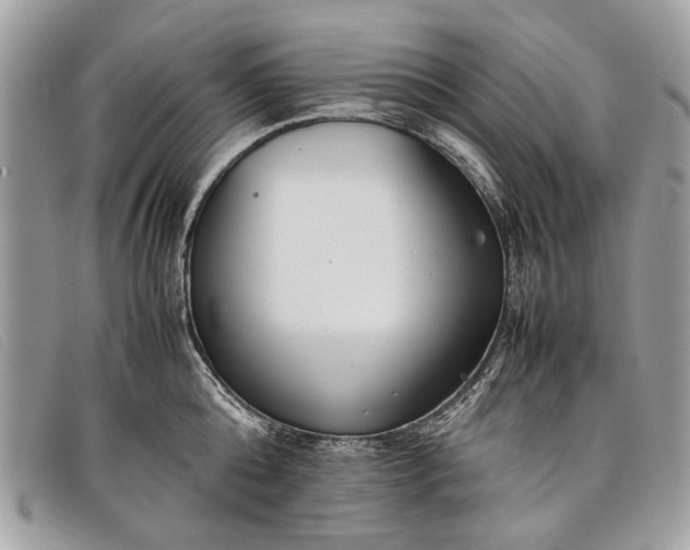 X0000098020808200804111256