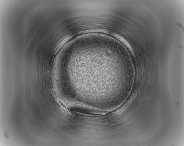 X0000098020809200804111256