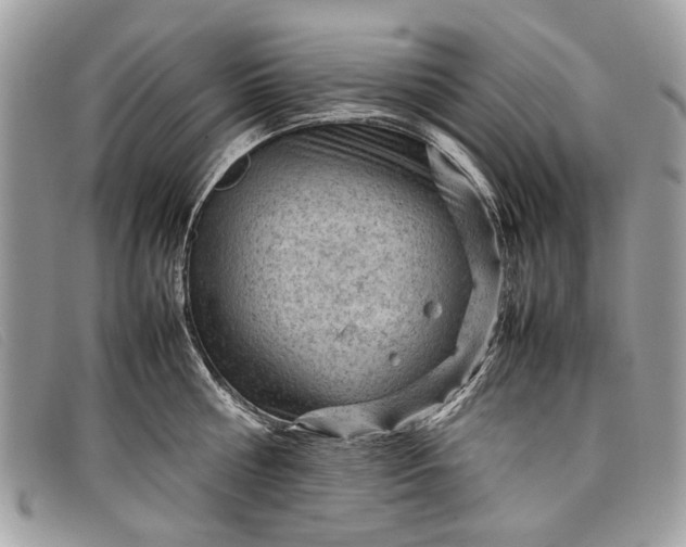 X0000098020810200804111256